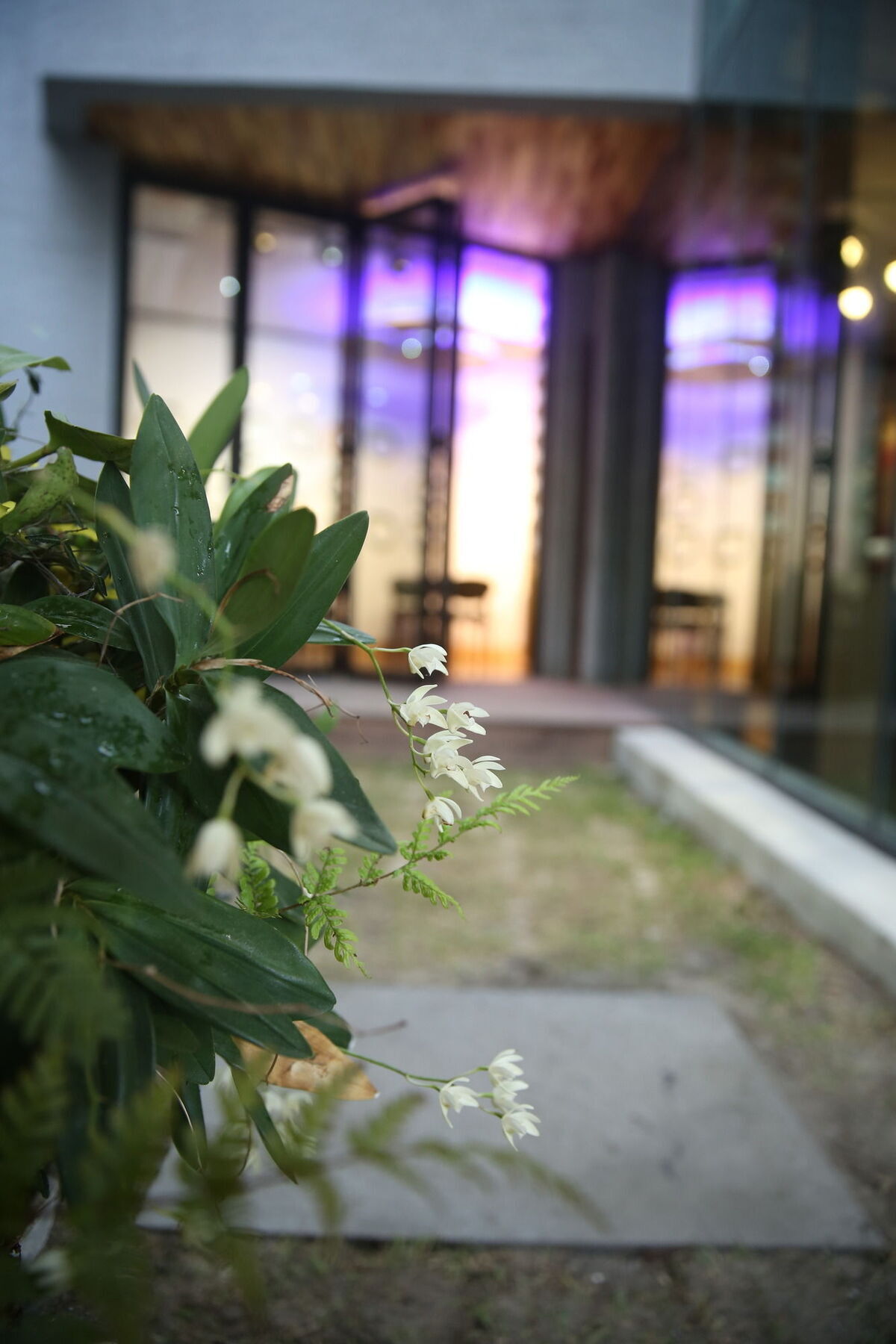 Sogondak House Villa Jeju Dış mekan fotoğraf